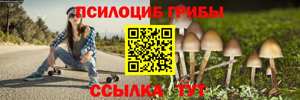 Псилоцибиновые грибы Cubensis Пыть-Ях